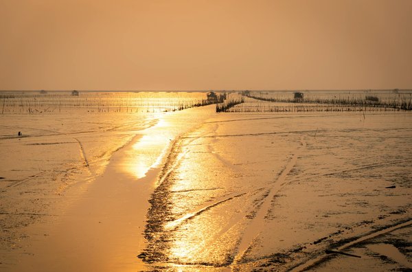 Comment choisir son guide touristique pour des vacances inoubliables